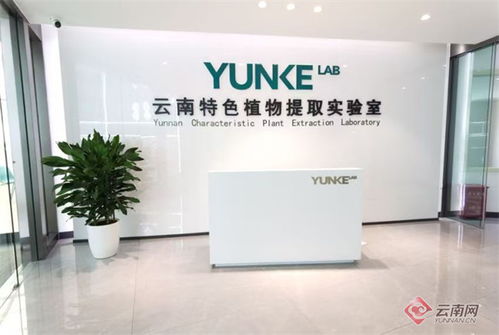 探访 智慧工厂 感受云南本土企业的 科技范儿