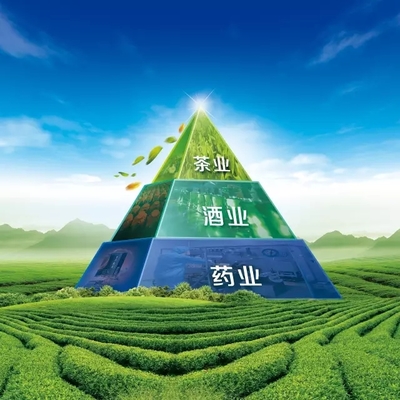 理想科技集团荣膺“云南省非公企业100强”、“云南省非公企业服务业20强”称号