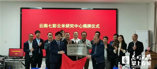 云天化与省农科院成立云南七彩云米研究中心
